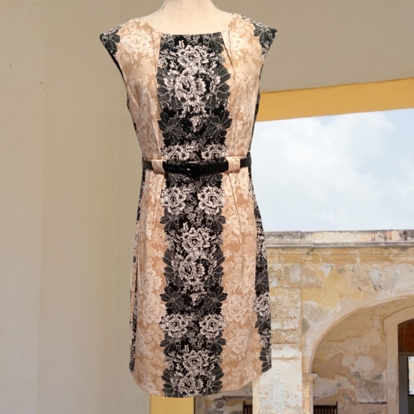 Tri Color Floral Print Sleeveless Belted Midi Dress Sz 6 NWOT - Picture 1 of 10